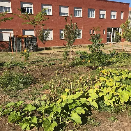 Residencia Universitaria Atilano Coco Appartamento *